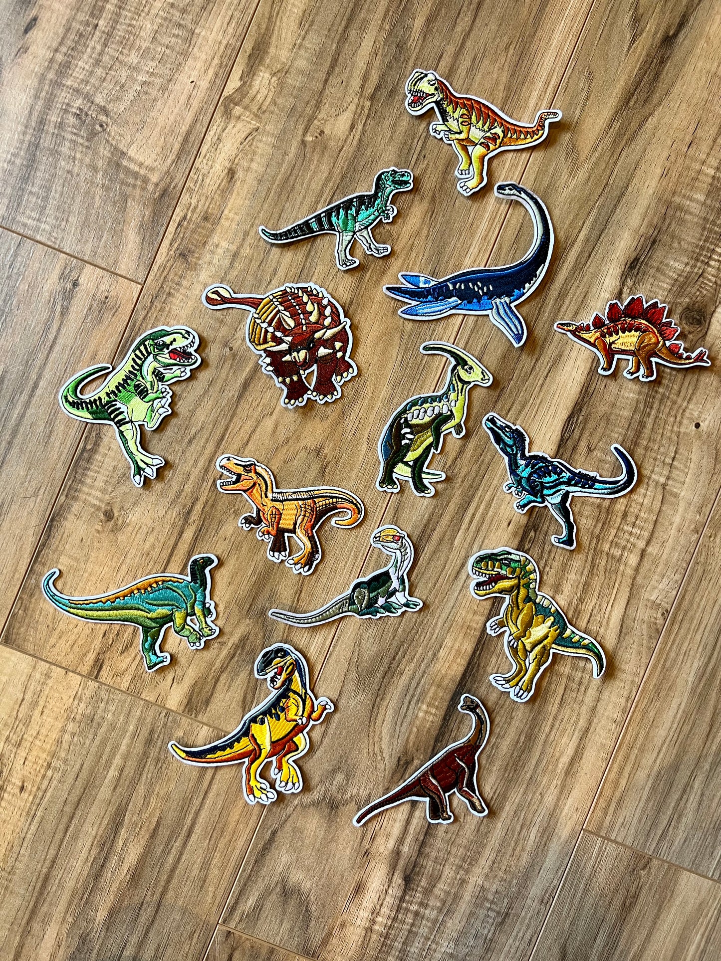 Dinosaur Patches